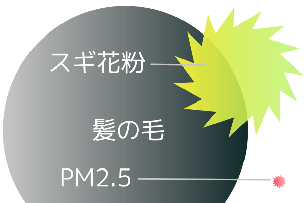 PM2.5と髪の毛・スギ花粉との大きさ比較